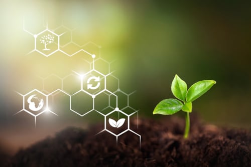 碳足迹土壤绿苗