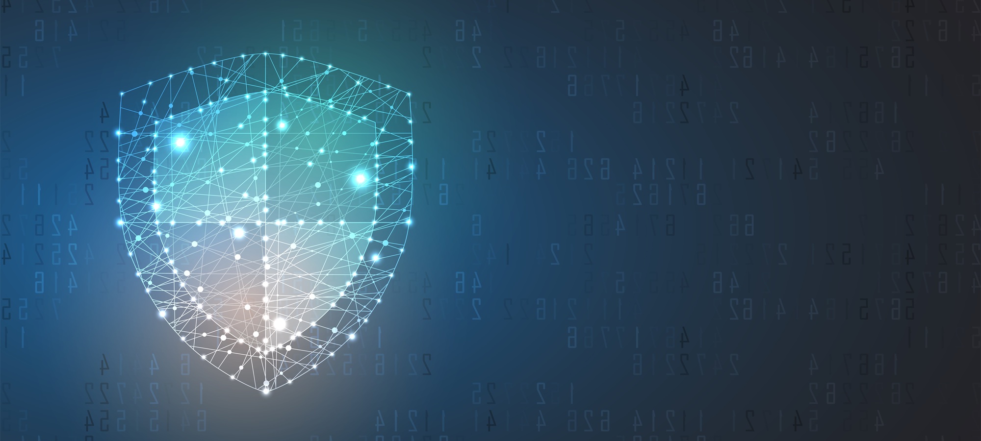 Information security lock