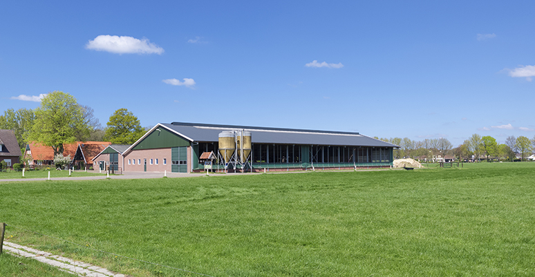 Boerderij in Nederland