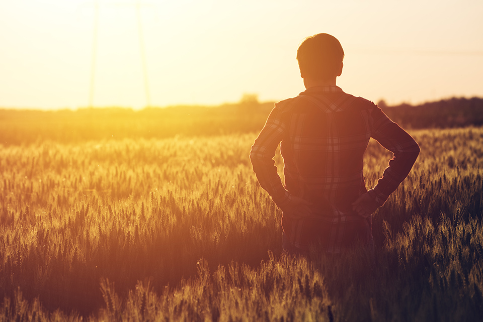 man in field of wheat at sunset